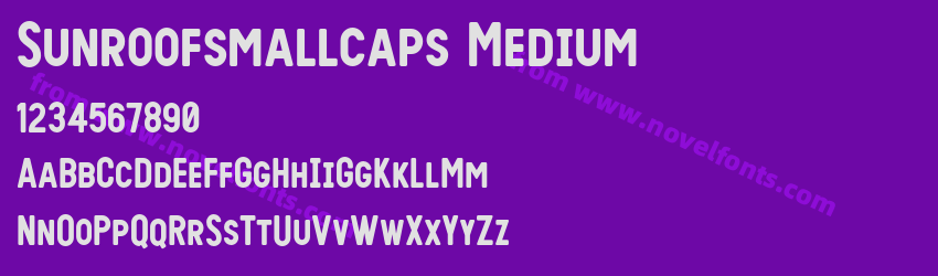 Sunroofsmallcaps MediumPreview