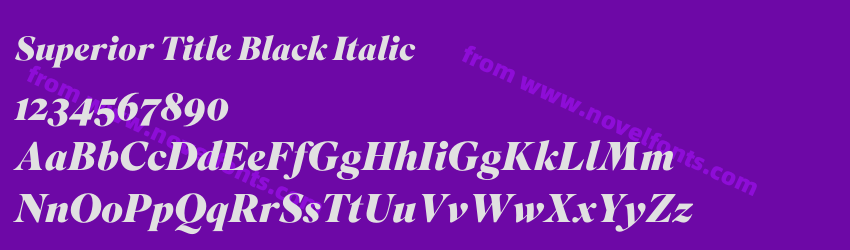 Superior Title Black ItalicPreview