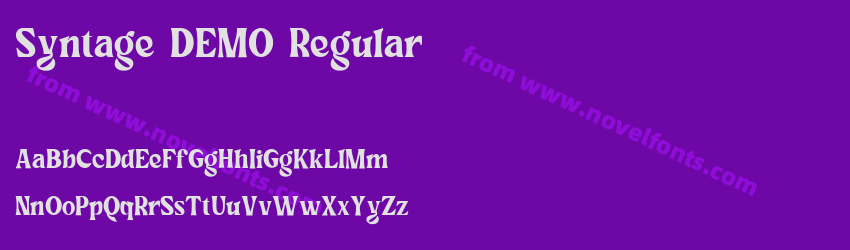 Syntage DEMO RegularPreview Syntage DEMO RegularPreview