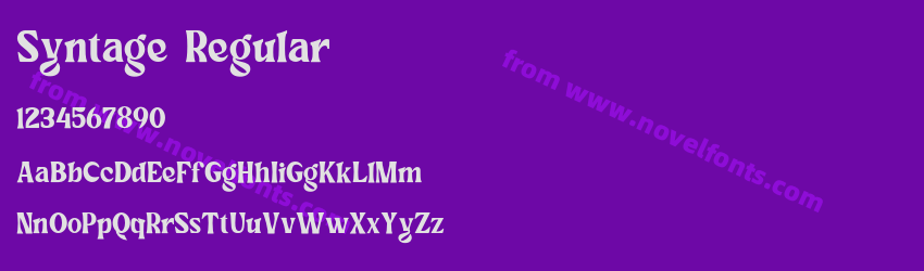 Syntage RegularPreview Syntage RegularPreview