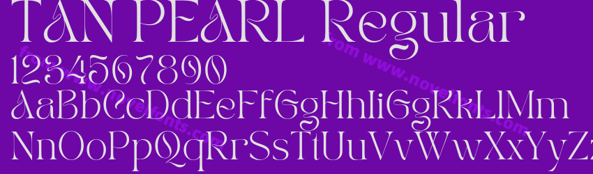 TAN PEARL RegularPreview TAN PEARL RegularPreview