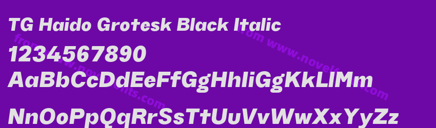 TG Haido Grotesk Black ItalicPreview TG Haido Grotesk Black ItalicPreview