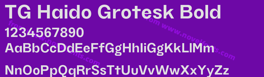 TG Haido Grotesk BoldPreview TG Haido Grotesk BoldPreview