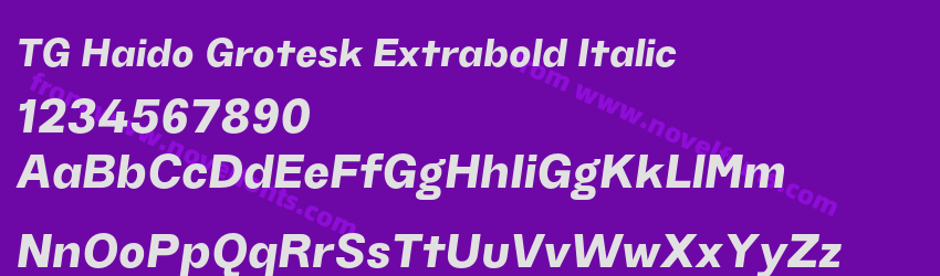 TG Haido Grotesk Extrabold ItalicPreview TG Haido Grotesk Extrabold ItalicPreview