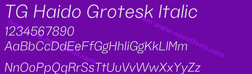 TG Haido Grotesk ItalicPreview TG Haido Grotesk ItalicPreview