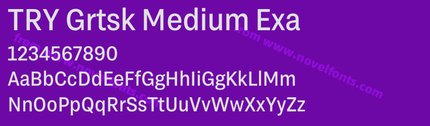 TRY Grtsk Medium ExaPreview TRY Grtsk Medium ExaPreview