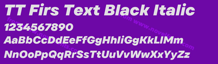 TT Firs Text Black ItalicPreview TT Firs Text Black ItalicPreview
