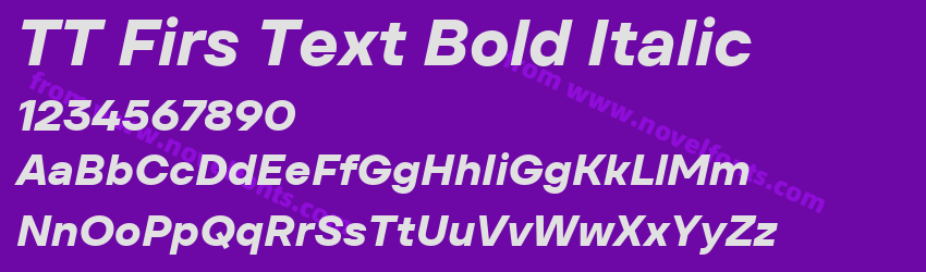 TT Firs Text Bold ItalicPreview TT Firs Text Bold ItalicPreview