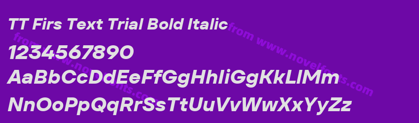 TT Firs Text Trial Bold ItalicPreview TT Firs Text Trial Bold ItalicPreview