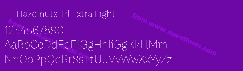 TT Hazelnuts Trl Extra LightPreview TT Hazelnuts Trl Extra LightPreview