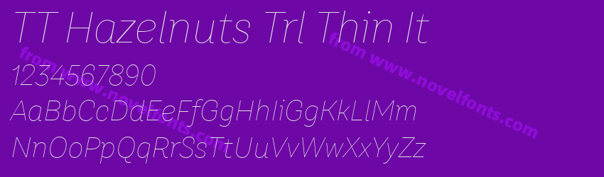 TT Hazelnuts Trl Thin ItPreview TT Hazelnuts Trl Thin ItPreview
