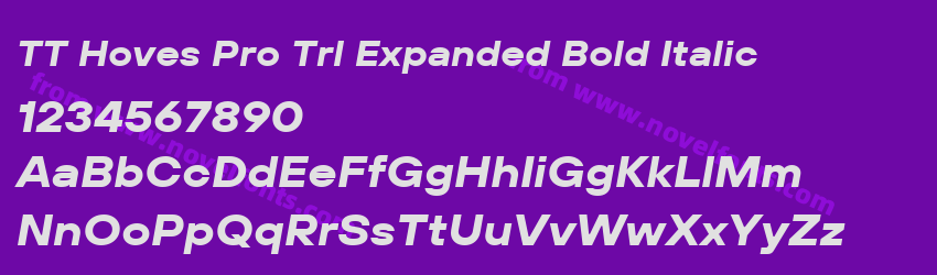 TT Hoves Pro Trl Expanded Bold ItalicPreview