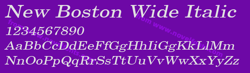 New Boston Wide ItalicPreview