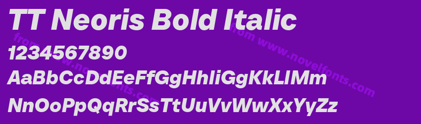 TT Neoris Bold ItalicPreview TT Neoris Bold ItalicPreview