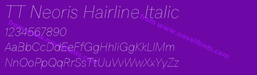 TT Neoris Hairline ItalicPreview