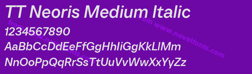 TT Neoris Medium ItalicPreview TT Neoris Medium ItalicPreview