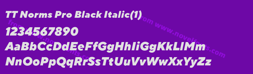 TT Norms Pro Black Italic(1)Preview TT Norms Pro Black Italic(1)Preview
