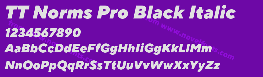 TT Norms Pro Black ItalicPreview TT Norms Pro Black ItalicPreview