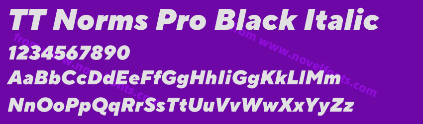 TT Norms Pro Black ItalicPreview TT Norms Pro Black ItalicPreview
