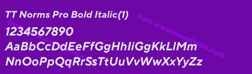 TT Norms Pro Bold Italic(1)Preview TT Norms Pro Bold Italic(1)Preview