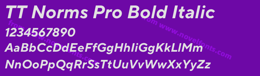 TT Norms Pro Bold ItalicPreview TT Norms Pro Bold ItalicPreview