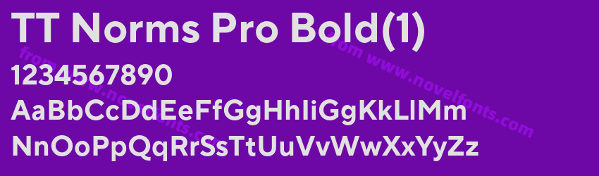 TT Norms Pro Bold(1)Preview TT Norms Pro Bold(1)Preview