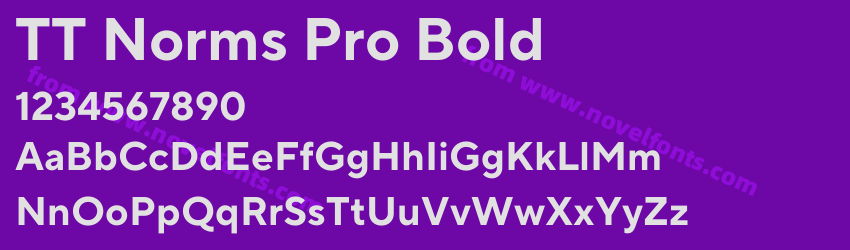 TT Norms Pro BoldPreview TT Norms Pro BoldPreview