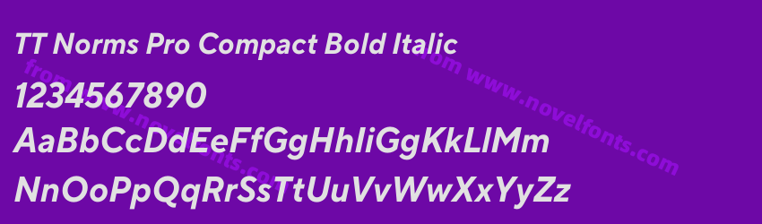 TT Norms Pro Compact Bold ItalicPreview TT Norms Pro Compact Bold ItalicPreview