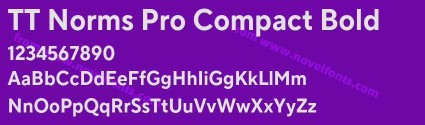TT Norms Pro Compact BoldPreview TT Norms Pro Compact BoldPreview