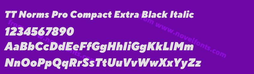 TT Norms Pro Compact Extra Black ItalicPreview TT Norms Pro Compact Extra Black ItalicPreview