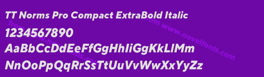 TT Norms Pro Compact ExtraBold ItalicPreview TT Norms Pro Compact ExtraBold ItalicPreview