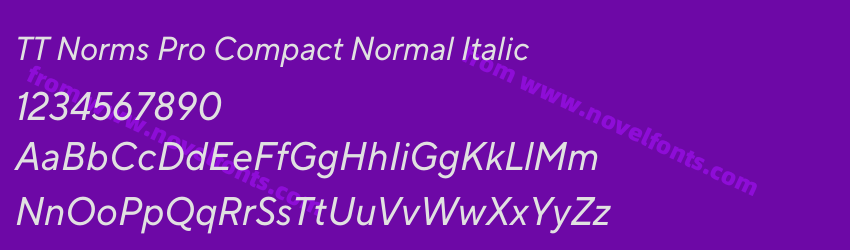 TT Norms Pro Compact Normal ItalicPreview TT Norms Pro Compact Normal ItalicPreview