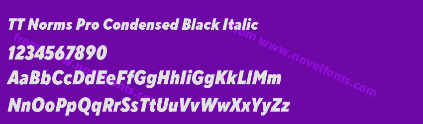 TT Norms Pro Condensed Black ItalicPreview TT Norms Pro Condensed Black ItalicPreview