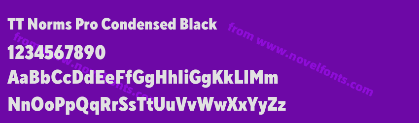 TT Norms Pro Condensed BlackPreview TT Norms Pro Condensed BlackPreview