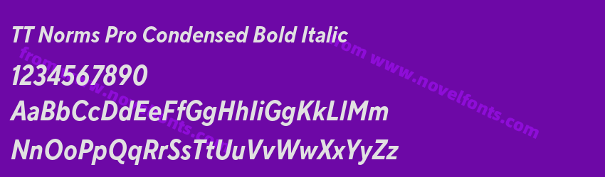 TT Norms Pro Condensed Bold ItalicPreview TT Norms Pro Condensed Bold ItalicPreview