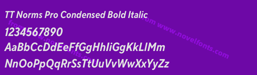TT Norms Pro Condensed Bold ItalicPreview TT Norms Pro Condensed Bold ItalicPreview