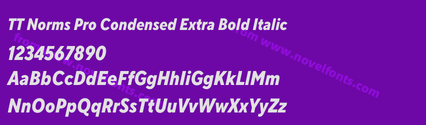 TT Norms Pro Condensed Extra Bold ItalicPreview TT Norms Pro Condensed Extra Bold ItalicPreview