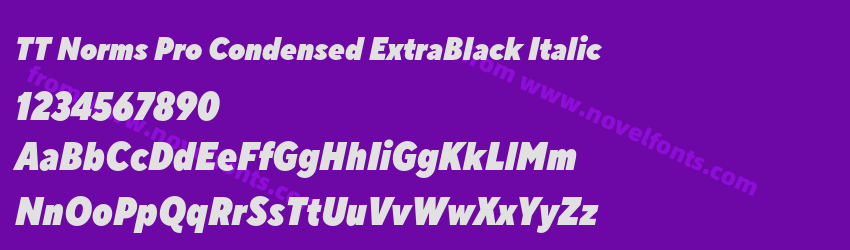 TT Norms Pro Condensed ExtraBlack ItalicPreview TT Norms Pro Condensed ExtraBlack ItalicPreview