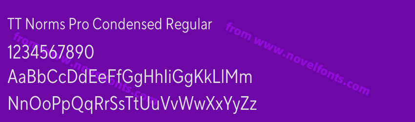 TT Norms Pro Condensed RegularPreview TT Norms Pro Condensed RegularPreview