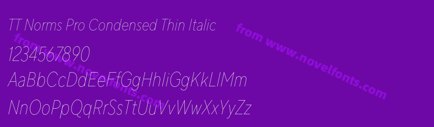 TT Norms Pro Condensed Thin ItalicPreview TT Norms Pro Condensed Thin ItalicPreview