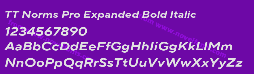 TT Norms Pro Expanded Bold ItalicPreview TT Norms Pro Expanded Bold ItalicPreview
