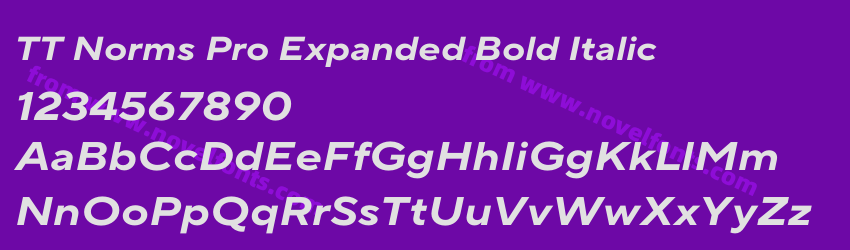 TT Norms Pro Expanded Bold ItalicPreview TT Norms Pro Expanded Bold ItalicPreview