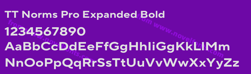 TT Norms Pro Expanded BoldPreview TT Norms Pro Expanded BoldPreview