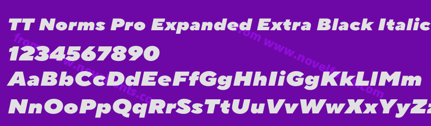 TT Norms Pro Expanded Extra Black ItalicPreview TT Norms Pro Expanded Extra Black ItalicPreview
