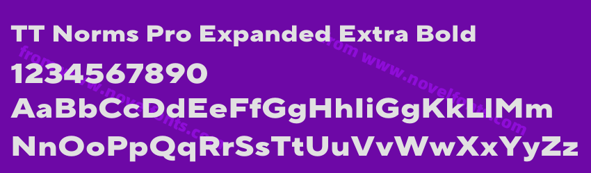 TT Norms Pro Expanded Extra BoldPreview TT Norms Pro Expanded Extra BoldPreview