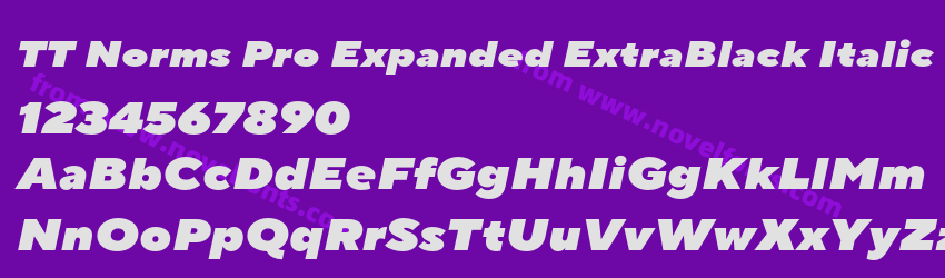TT Norms Pro Expanded ExtraBlack ItalicPreview TT Norms Pro Expanded ExtraBlack ItalicPreview