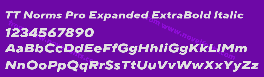 TT Norms Pro Expanded ExtraBold ItalicPreview TT Norms Pro Expanded ExtraBold ItalicPreview
