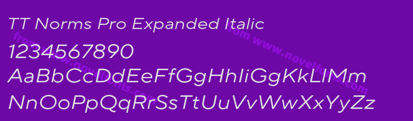 TT Norms Pro Expanded ItalicPreview TT Norms Pro Expanded ItalicPreview