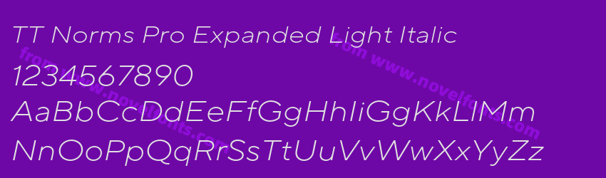 TT Norms Pro Expanded Light ItalicPreview TT Norms Pro Expanded Light ItalicPreview