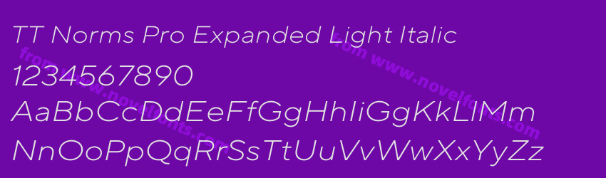 TT Norms Pro Expanded Light ItalicPreview TT Norms Pro Expanded Light ItalicPreview